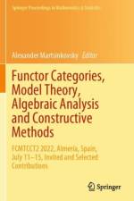 Functor Categories, Model Theory, Algebraic Analysis and Constructive Methods