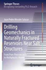 Drilling Geomechanics in Naturally Fractured Reservoirs Near Salt Structures af Juan Pedro Morales Salazar
