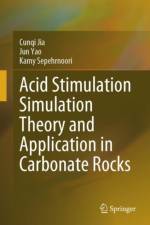 Acid Stimulation Simulation Theory and Application in Carbonate Rocks af Cunqi Jia