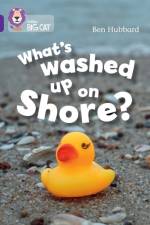 What's washed up on shore? af Ben Hubbard