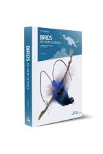 Birds of New Guinea