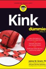 Kink For Dummies af Jaime M. Grant