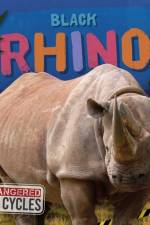 Black Rhino