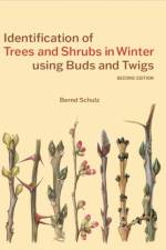 Identification of Trees and Shrubs in Winter using Buds and Twigs af Bernd Schulz