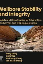 Wellbore Stability and Integrity af Meng Meng
