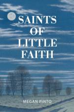 Saints of Little Faith af Megan Pinto