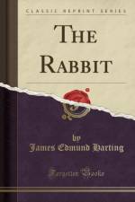 The Rabbit (Classic Reprint) af James Edmund Harting