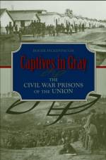 Captives in Gray af Roger Pickenpaugh