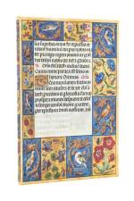 2026 Spinola Hours (Ancient Illumination) Maxi 12-month Vertical Hardcover Flexi Dayplanner 2026 (Elastic Band Closure) af Paperblanks