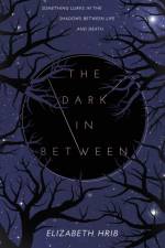 The Dark In-Between af Elizabeth Hrib