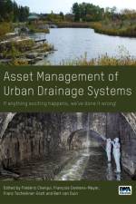 Asset Management of Urban Drainage Systems af Francois Clemens-Meyer