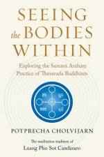 Seeing the Bodies Within af Potprecha Cholvijarn