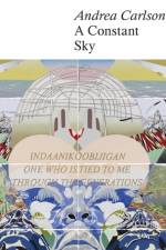 Andrea Carlson: A Constant Sky