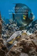 Hussain Aga Khan: Marine Encounters