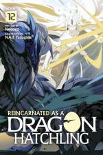 Reincarnated as a Dragon Hatchling (Light Novel) Vol. 12 af Necoco