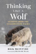 Thinking Like a Wolf af Rick McIntyre