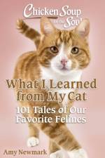 Chicken Soup for the Soul: What I Learned from My Cat af Amy Newmark