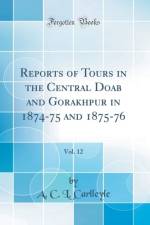 Reports of Tours in the Central Doab and Gorakhpur in 1874-75 and 1875-76, Vol. 12 (Classic Reprint) af A. C. L. Carlleyle