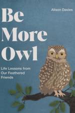 Be More Owl af Alison Davies