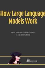 How Large Language Models Work af Edward Raff