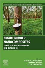 Smart Rubber Nanocomposites