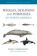 Whales, Dolphins, and Porpoises of North America af Mark Carwardine