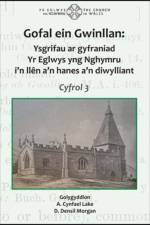 Gofal ein Gwinllan 3 - Ysgrifau ar gyfraniad Yr Eglwys yng Nghymru i'n llen ein hanes a'n... af Y Lolfa