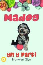Cyfres Amdani: Madog yn y Parti af Branwen Glyn