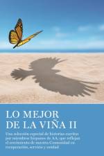 Lo Mejor de La Vina II af AA Grapevine
