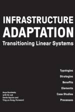 Infrastructure Adaptation af Anya Domlesky