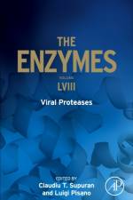 Viral Proteases