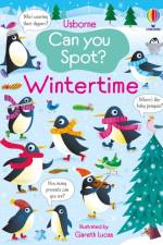 Can You Spot? Wintertime af Kirsteen Robson