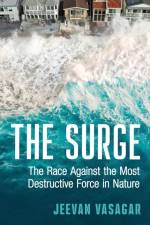 The Surge af Jeevan Vasagar