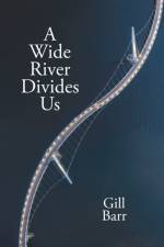 A Wide River Divides Us af Gill Barr
