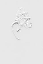 Ephemeral Field Journal af Sarah Schorr