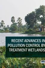 Recent Advances in Pollution Control by Treatment Wetlands af Bernhard Pucher