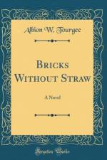 Bricks Without Straw: A Novel (Classic Reprint) af Albion W. Tourgee