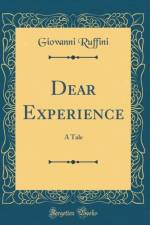Dear Experience af Giovanni Ruffini