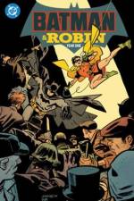 Batman and Robin: Year One