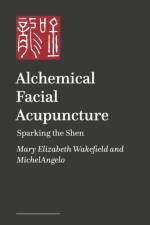 Alchemical Facial Acupuncture af MichelAngelo