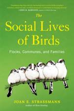 The Social Lives of Birds af Joan E. Strassmann