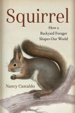 Squirrel af Nancy Castaldo
