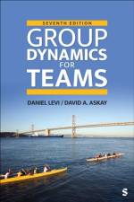 Group Dynamics for Teams af Daniel J. Levi