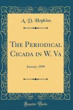 The Periodical Cicada in W. Va af A. D. Hopkins