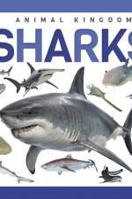 Sharks