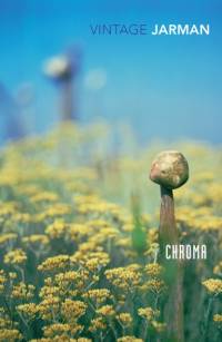 Chroma av Derek Jarman