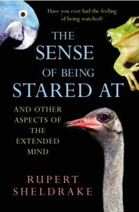The Sense Of Being Stared At av Rupert Sheldrake