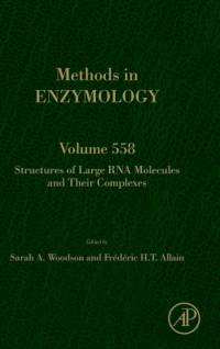 Structures of Large RNA Molecules and Their Complexes