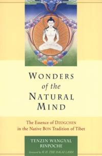 Wonders of the Natural Mind av Tenzin Wangyal