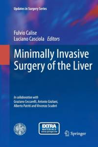 Minimally Invasive Surgery of the Liver av Fulvio Calise